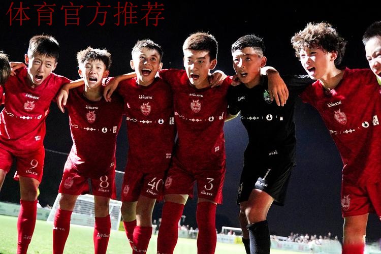 将辞丙申岁 力战中国杯 将辞丙申岁 力战中国杯